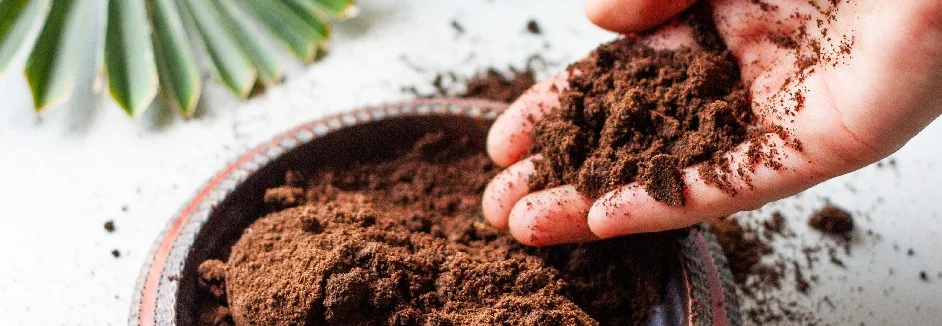 Hand hält krümelige Erde in einer Schale